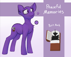 Size: 2041x1632 | Tagged: safe, artist:marsminer, imported from derpibooru, oc, oc only, oc:peaceful memories, pony, reference sheet, solo