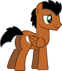 Size: 5225x5982 | Tagged: safe, artist:fenrirconnell, imported from derpibooru, oc, oc only, oc:airswirl, pony, absurd resolution, simple background, solo, transparent background, vector