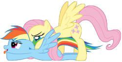 Size: 9787x5000 | Tagged: safe, artist:rubez2525, imported from derpibooru, fluttershy, rainbow dash, pegasus, pony, .ai available, absurd resolution, female, flutterdash, lesbian, mare, open mouth, shipping, simple background, tongue out, transparent background, vector