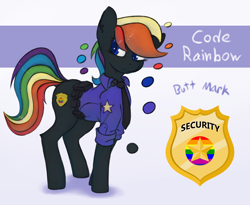 Size: 2144x1759 | Tagged: safe, artist:marsminer, imported from derpibooru, oc, oc only, oc:code rainbow, pony, female, reference sheet, solo