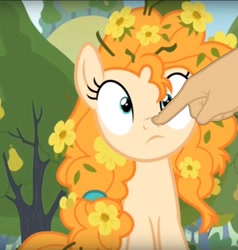 Size: 894x938 | Tagged: safe, edit, edited screencap, imported from derpibooru, screencap, pear butter, pony, the perfect pear, boop, boop edit, cropped, cute, finger, flower, flower in hair, hand, pearabetes