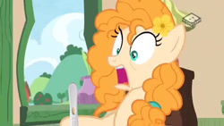 Size: 1024x576 | Tagged: safe, edit, edited screencap, imported from derpibooru, screencap, pear butter, pony, the perfect pear, female, pregnancy test, pregnancy test meme, screaming, solo