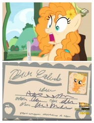 Size: 3106x4096 | Tagged: safe, edit, imported from derpibooru, screencap, applejack, pear butter, pony, the perfect pear, absurd resolution, babyjack, birth certificate, foal, pregnancy test, screencap comic