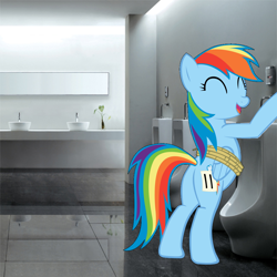 Size: 1010x1008 | Tagged: safe, artist:alexpony, artist:therockinstallion, imported from derpibooru, rainbow dash, pony, fall weather friends, bathroom, bathroom use, but why, butt, female, irl, photo, plot, ponies in real life, promingent female, solo, toilet, urinal