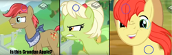 Size: 2376x772 | Tagged: safe, artist:epiccrasher, edit, edited screencap, imported from derpibooru, screencap, bright mac, goldie delicious, granny smith, pony, the perfect pear, family, grandpa apple, headcanon, lazy, ms paint, theory, young granny smith