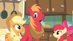 Size: 1920x1080 | Tagged: safe, imported from derpibooru, screencap, apple bloom, applejack, big macintosh, pony, the perfect pear, animation error, derp, kitchen