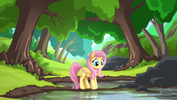 Size: 1920x1080 | Tagged: safe, artist:mysticalpha, imported from derpibooru, fluttershy, pony, female, forest, pond, reflection, solo, tree