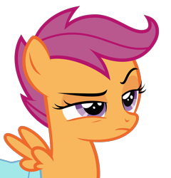 Size: 3000x3125 | Tagged: safe, artist:sollace, imported from derpibooru, scootaloo, pegasus, pony, parental glideance, .svg available, bag, bust, female, filly, lidded eyes, raised eyebrow, saddle bag, show accurate, simple background, solo, spread wings, suspicious, transparent background, unconvinced scootaloo, vector, wings