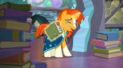 Size: 840x466 | Tagged: safe, imported from derpibooru, screencap, sunburst, pony, the crystalling, book, male, solo