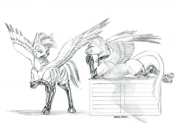 Size: 1400x973 | Tagged: safe, artist:baron engel, imported from derpibooru, oc, oc only, oc:keyboard, oc:scarlet tips, griffon, pegasus, pony, boots, duo, female, grayscale, griffon oc, mare, monochrome, pencil drawing, prone, shoes, simple background, smiling, traditional art, white background