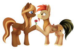 Size: 1024x672 | Tagged: safe, artist:dusthiel, imported from derpibooru, oc, oc only, oc:caramel breeze, oc:sentinel, pegasus, pony, commission, duo, female, flower, looking at each other, male, mare, oc x oc, rose, saddle bag, shipping, simple background, smiling, stallion, transparent background