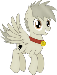 Size: 1427x1876 | Tagged: safe, artist:soulakai41, imported from derpibooru, oc, oc only, oc:bolt the super pony, pegasus, pony, collar, flying, male, simple background, solo, stallion, transparent background