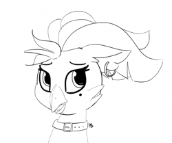 Size: 1280x1069 | Tagged: safe, artist:pabbley, imported from derpibooru, captain celaeno, anthro, my little pony: the movie, bust, collar, female, monochrome, portrait, simple background, solo, white background