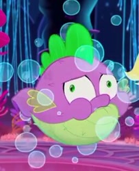 Size: 254x313 | Tagged: safe, imported from derpibooru, screencap, spike, fish, puffer fish, my little pony: the movie, bubble, cropped, inflation, species swap, spike the pufferfish
