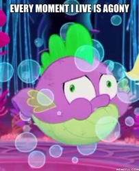 Size: 600x739 | Tagged: safe, edit, edited screencap, imported from derpibooru, screencap, spike, puffer fish, my little pony: the movie, cropped, image macro, inflation, male, meme, memeful.com, solo, species swap, spike the pufferfish, the simpsons, truth
