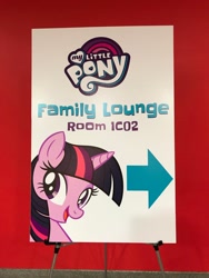 Size: 1200x1600 | Tagged: safe, imported from derpibooru, twilight sparkle, pony, equestria daily, bookcon, my little pony logo, spoilers in description