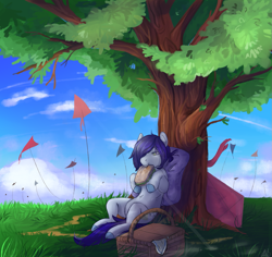 Size: 1433x1355 | Tagged: safe, artist:1an1, imported from derpibooru, oc, oc only, pony, basket, cloud, food, grass, kite, picnic, picnic basket, sandwich, signature, sitting, sky, solo, tree, under the tree