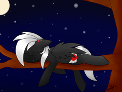 Size: 3264x2448 | Tagged: safe, artist:luriel maelstrom, imported from derpibooru, oc, oc only, oc:luriel maelstrom, pegasus, pony, digital, moon, night, night sky, piercing, sky, sleeping, tree, tree branch