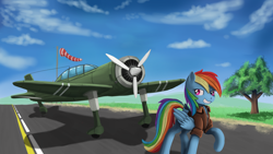 Size: 2560x1440 | Tagged: safe, artist:ailynd, imported from derpibooru, rainbow dash, pegasus, pony, bomber jacket, cloud, female, flag, grin, mare, pilot dash, plane, pole, raised hoof, sky, smiling, solo, tree