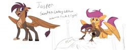 Size: 1417x563 | Tagged: safe, artist:kerorolover16, imported from derpibooru, scootaloo, oc, oc:jasper, hippogriff, pegasus, pony, interspecies offspring, language, magical lesbian spawn, next generation, offspring, parent:gabby, parent:scootaloo, parents:gabbyloo, simple background, stubborn, vulgar, white background