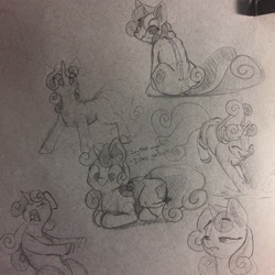 Size: 1280x1280 | Tagged: safe, artist:greyscaleart, imported from derpibooru, sweetie belle, pony, female, monochrome, sketch, sketch dump, solo, traditional art