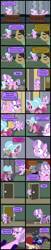 Size: 800x3938 | Tagged: safe, artist:magerblutooth, imported from derpibooru, diamond tiara, filthy rich, ruby pinch, oc, oc:dazzle, cat, pony, comic:diamond and dazzle, bag, bone, candy, comic, food, hot tub, present, rain, saddle, shopping, tack, wet, wet mane, yarn