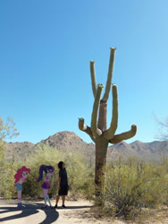 Size: 720x960 | Tagged: safe, artist:smcho1014, deleted from derpibooru, imported from derpibooru, pinkie pie, sci-twi, twilight sparkle, human, equestria girls, arizona, cactus, desert, equestria girls in real life, irl, photo, saguaro cactus, sonoran desert