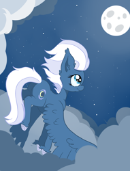 Size: 1764x2305 | Tagged: safe, artist:paskanaakka, derpibooru exclusive, imported from derpibooru, night glider, pegasus, pony, cloud, cloudy, colored hooves, ear fluff, female, flying, full moon, mare, moon, night, smiling, solo, stars, unshorn fetlocks