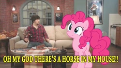 Size: 1280x720 | Tagged: safe, imported from derpibooru, pinkie pie, earth pony, human, pony, female, human male, irl, jontron, male, mare, photo