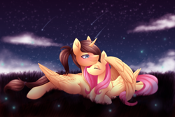 Size: 4500x3000 | Tagged: safe, artist:scarlet-spectrum, imported from derpibooru, fluttershy, oc, oc:eternal light, alicorn, firefly (insect), pegasus, pony, absurd resolution, alicorn oc, blue eyes, blushing, canon x oc, cloud, eyes closed, female, field, folded wings, hug, male, mare, night, ponytail, scenery, shipping, shooting star, stallion, stars, straight, winghug