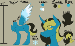 Size: 2576x1600 | Tagged: safe, artist:moonakart13, artist:moonaknight13, imported from derpibooru, oc, oc only, alicorn, alicorn oc, chubby, cutie mark, freckles, height, icy wings, markings, reference sheet, solo, text