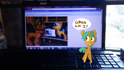 Size: 3264x1836 | Tagged: safe, artist:kryptchild, artist:lumenglace, imported from derpibooru, snails, pony, glitter shell, inception, irl, meta, photo, plushie