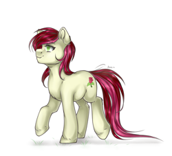 Size: 2200x2000 | Tagged: safe, artist:ann, imported from derpibooru, roseluck, earth pony, pony, chest fluff, commissioner:doom9454, ear fluff, female, mare, simple background, solo, walking, white background