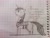 Size: 1040x780 | Tagged: safe, artist:oldteaowl, imported from derpibooru, shining armor, pony, unicorn, cyrillic, dock, graph paper, male, missing cutie mark, monochrome, pencil drawing, russian, sketch, solo, traditional art