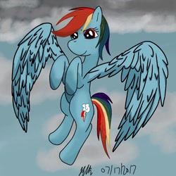 Size: 984x984 | Tagged: safe, artist:bleuey, imported from derpibooru, rainbow dash, pegasus, pony, female, flying, large wings, mare, signature, solo, wings