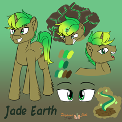 Size: 2000x2000 | Tagged: safe, artist:floofyfoxcomics, imported from derpibooru, oc, oc only, oc:jade earth, earth pony, pony, unicorn, high res, male, reference sheet, solo, stallion