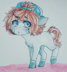 Size: 1024x1094 | Tagged: safe, artist:shiromidorii, imported from derpibooru, oc, oc only, oc:aiden, earth pony, pony, backwards ballcap, baseball cap, cap, colt, hat, male, solo, traditional art, watercolor painting