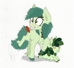 Size: 1529x1413 | Tagged: safe, artist:paskanaakka, derpibooru exclusive, imported from derpibooru, oc, oc only, oc:bittergreen, oc:sweetleaf, earth pony, pony, baby, baby pony, chest fluff, colored hooves, duo, ear fluff, female, filly, freckles, mushroom, nose wrinkle, simple background, sisters, smiling, unshorn fetlocks