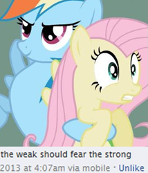 Size: 509x596 | Tagged: safe, imported from derpibooru, fluttershy, rainbow dash, pony, discussion in the comments, duckery in the comments, meme, op started shit, the weak should fear the strong