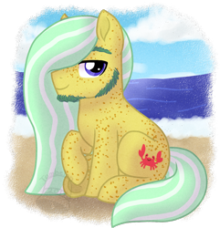 Size: 830x860 | Tagged: safe, artist:tambelon, imported from derpibooru, oc, oc only, oc:driftwood, pony, beach, beard, facial hair, freckles, looking at you, male, sideburns, simple background, solo, stallion, transparent background, watermark