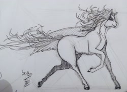 Size: 2570x1873 | Tagged: safe, artist:pantheracantus, imported from derpibooru, oc, oc only, oc:ruituri nox, pony, running, traditional art