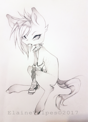 Size: 1024x1418 | Tagged: safe, artist:elainevulpes, imported from derpibooru, oc, oc only, oc:mary skull, pony, collar, looking at you, solo, traditional art