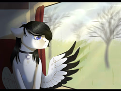 Size: 1600x1200 | Tagged: safe, artist:maria-fly, imported from derpibooru, oc, oc only, oc:lamika, pony, freckles, sad, solo, train, wings