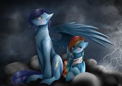 Size: 1024x727 | Tagged: safe, artist:leeileria, imported from derpibooru, rainbow dash, soarin', pony, clothes, male, rain, scarf, shipping, soarindash, straight, thunderstorm, wing umbrella