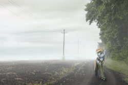 Size: 3646x2420 | Tagged: safe, artist:toanderic, imported from derpibooru, rainbow dash, pony, fog, irl, photo, photography, russia, solo, travelling