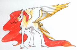 Size: 1024x660 | Tagged: safe, artist:oneiria-fylakas, imported from derpibooru, oc, oc only, pegasus, pony, female, mare, solo, tail feathers, traditional art, unshorn fetlocks