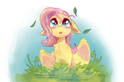 Size: 872x582 | Tagged: safe, artist:stepandy, imported from derpibooru, fluttershy, pegasus, pony, blush sticker, blushing, cute, female, floppy ears, looking at something, looking up, mare, open mouth, shyabetes, simple background, solo, transparent background