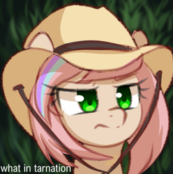 Size: 927x936 | Tagged: safe, artist:verawitch, deleted from derpibooru, imported from derpibooru, oc, oc only, oc:sweet skies, pony, bust, female, hat, mare, meme, ponified, portrait, solo, what in tarnation