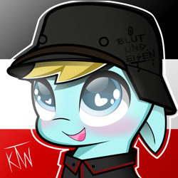 Size: 1500x1500 | Tagged: source needed, safe, artist:katiethewolfie, imported from derpibooru, oc, oc only, oc:bluteisen, pony, blue eyes, chibi, cute, cutie, flag, floppy ears, german, german empire, gray coat, heart eyes, soldat, solo, stahlhelm, vulpineprincess, wingding eyes, world war i