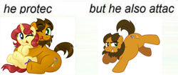 Size: 600x253 | Tagged: safe, artist:aleximusprime, imported from derpibooru, oc, oc only, oc:alex the chubby pony, oc:eilemonty, earth pony, pony, unicorn, cuddling, cute, diabetes, eilemonty, female, he protec but he also attac, hug, kicking, male, mare, mare and stallion, meme, needs more jpeg, one eye closed, plump, stallion, vector, wink